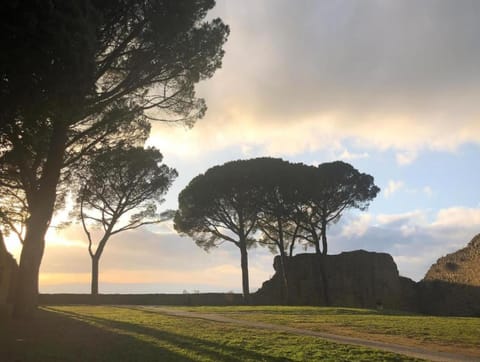 Region [summer] (>5 km)