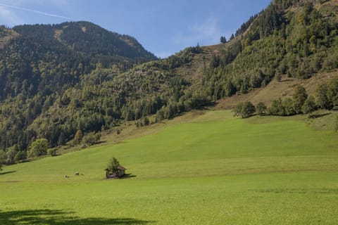 Immediate Surroundings [summer] (&lt;1 km)