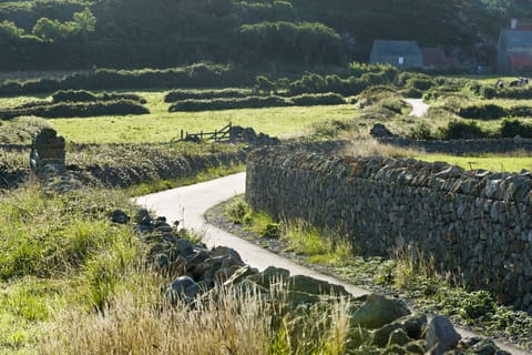 (c) Marc Lerouge & Cotentin unique par nature