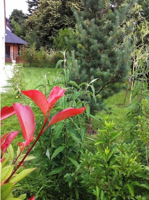 CHARMING GITE IN AMBOISE HISTORICAL CENTER. GITE Ivoire. House in Amboise