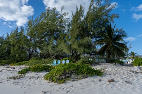 On the beach, sun loungers, beach towels