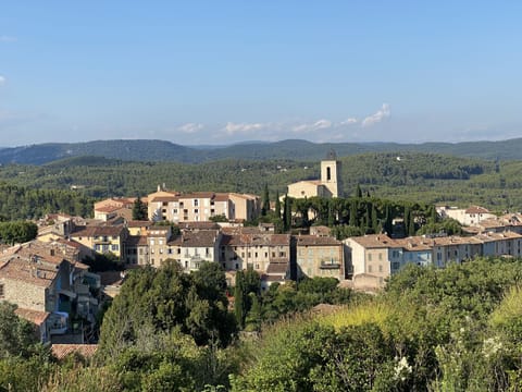 Immediate Surroundings [summer] (&lt;1 km)