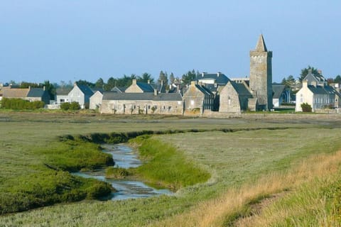 Region [summer] (&gt;5 km)