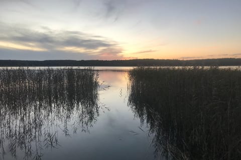 Immediate Surroundings [summer] (<1 km)