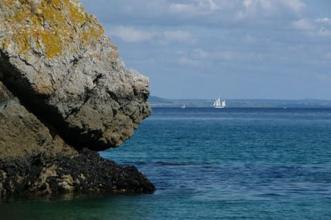 Region [summer] (&gt;5 km)