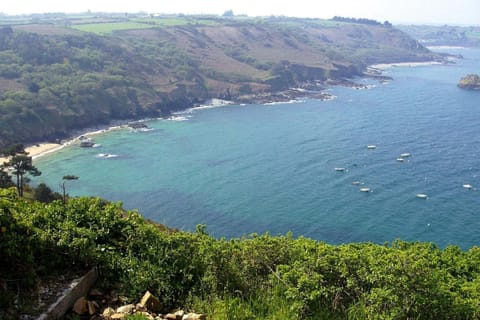 Immediate Surroundings [summer] (&lt;1 km)