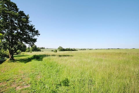 Immediate Surroundings [summer] (&lt;1 km)