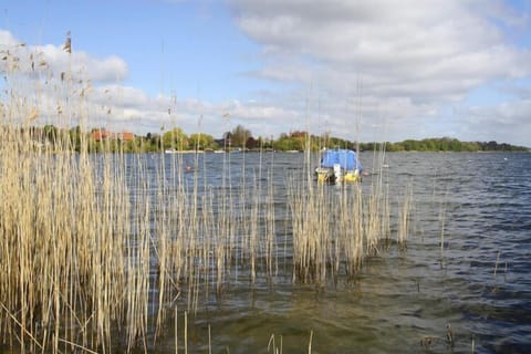 Immediate Surroundings [summer] (&lt;1 km)