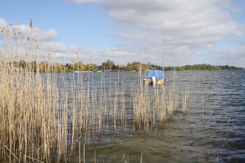 Surroundings [summer] (1-5 km)