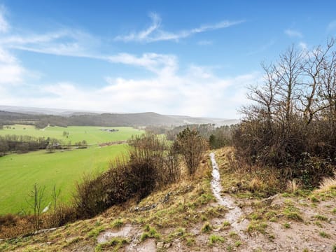 Surroundings [summer] (1-5 km)