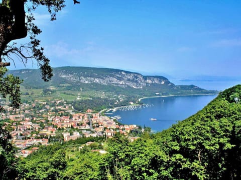 Region [summer] (>5 km)