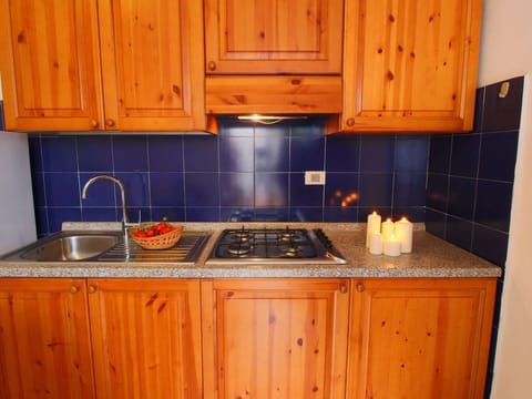 Fridge, stovetop, coffee/tea maker