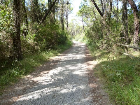 Immediate Surroundings [summer] (<1 km)