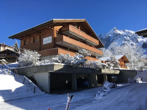 Chalet Jasmine with apartment Shreckhorn and parking slots