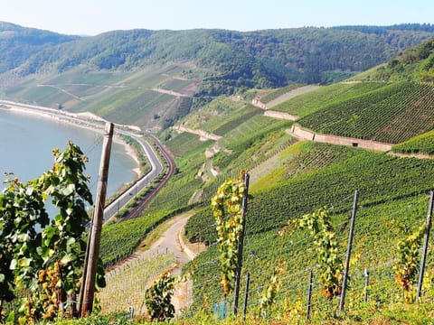 Area that directly surrounds the property