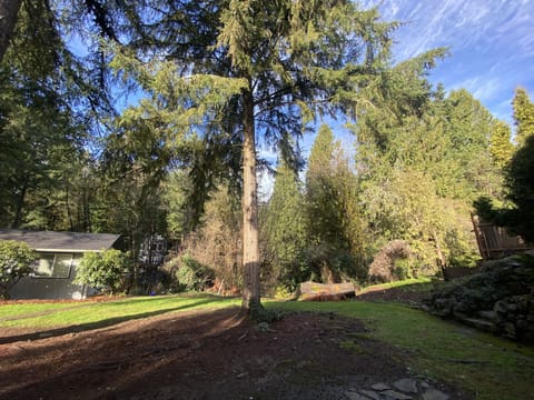 The cottage is tucked away in the back of the main house overlooking a creek!