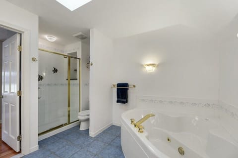 Shower, jetted tub, hair dryer, towels