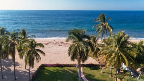 Sun loungers, beach towels