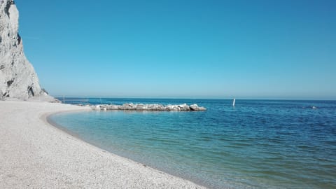 Beach nearby, sun loungers