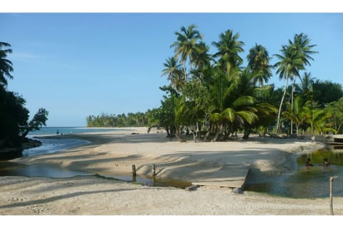 On the beach, sun loungers, beach towels