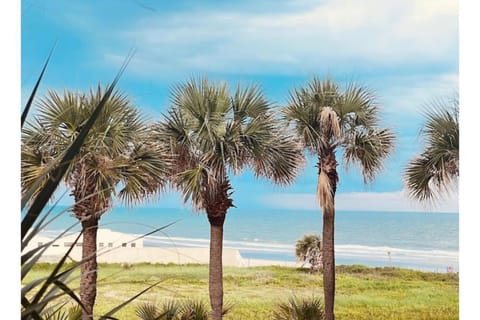 Beach towels