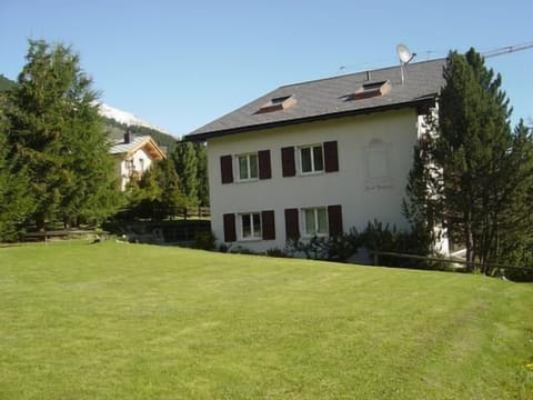 Picture 1