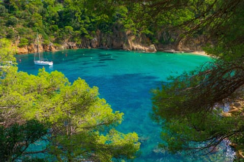 Beach nearby, sun loungers