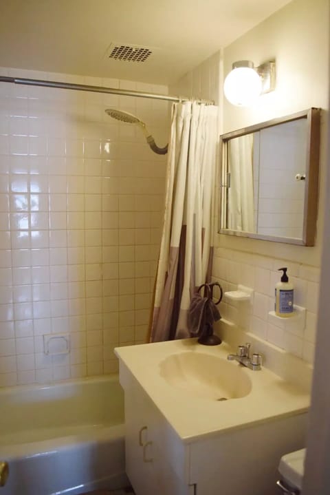 Combined shower/tub, hair dryer, towels, soap