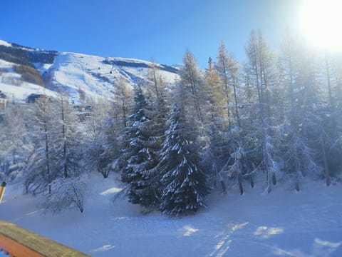 Snow and ski sports