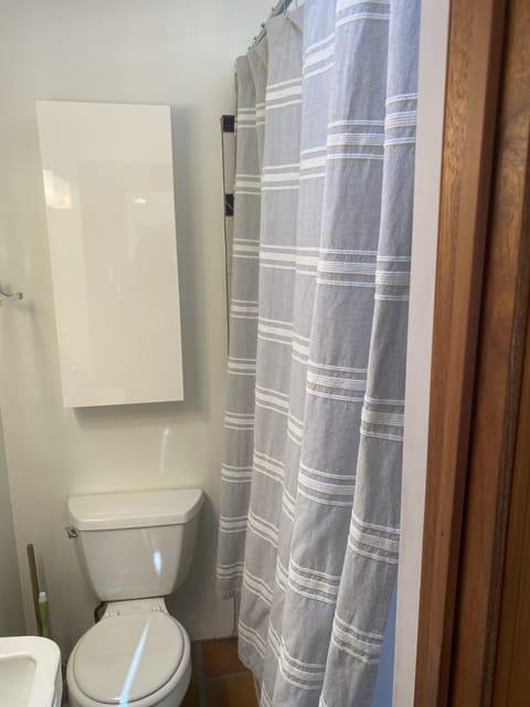 Combined shower/tub, hair dryer, towels, soap