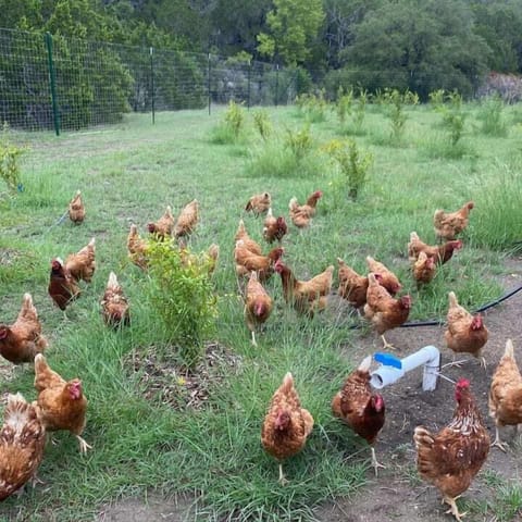 Dfa7cf27 c3b3 400d aa80 299ec83e1e57