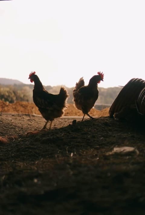 D037292c d6dd 433d 8540 281614380290