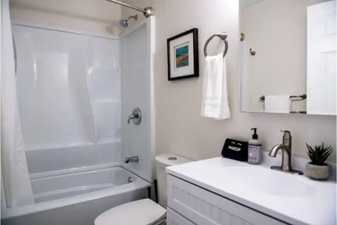 Combined shower/tub, hair dryer, towels, soap