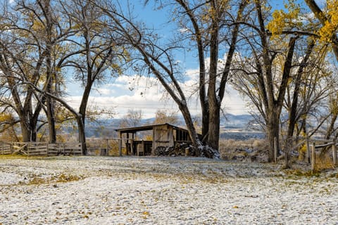 Outside bar located by the volleyball court. 