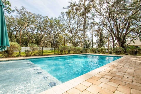 Great saltwater pool with a sun shelf to enjoy those beautiful sunny Florida days!