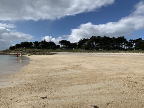 On the beach