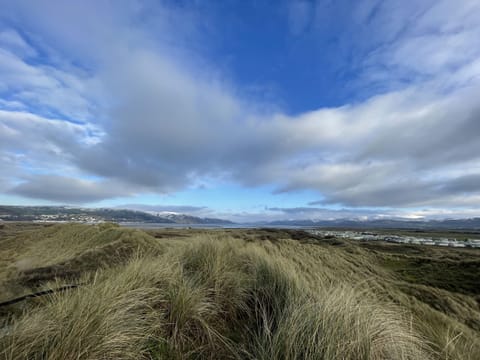 Sand dunes, Ynyslas National Nature Reserve