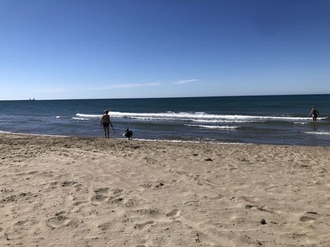 Sun loungers, beach towels