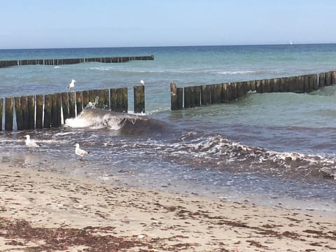 On the beach, sun loungers