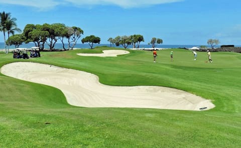 36 Holes at Francis H I'i Brown Golf Course at Mauna Lani