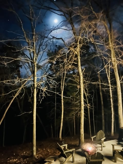 Backyard views at night
