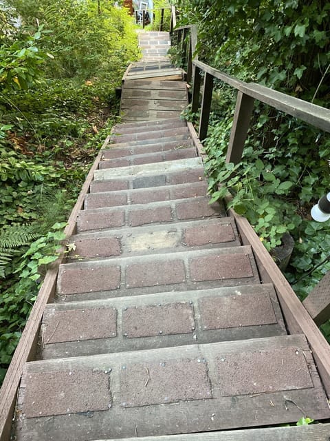 Stairs from the street parking down to the house