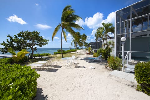 On the beach, sun loungers, beach towels