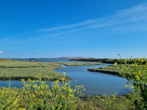 Coastal path towards Pembrey