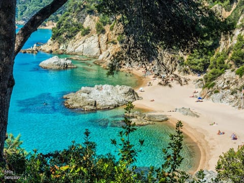 On the beach, sun loungers, beach towels