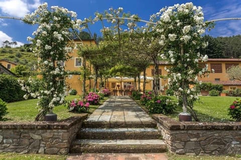 View of the terrace through the rose covered path