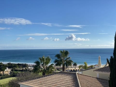 Beach/ocean view