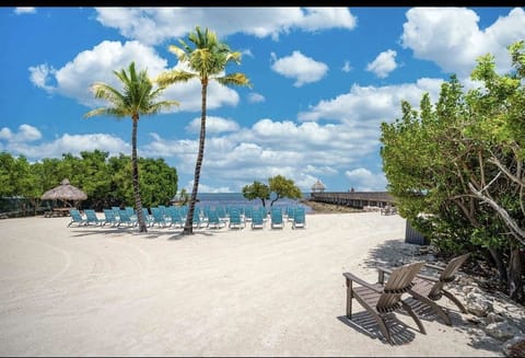 Beach nearby, sun loungers, beach towels