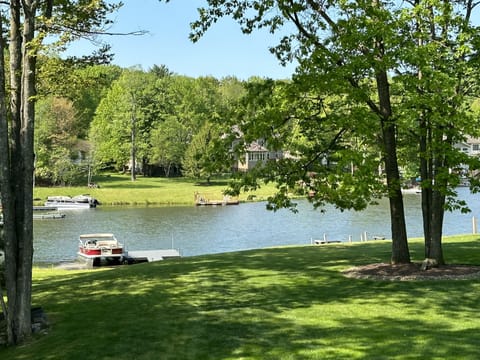 The view from the back deck
