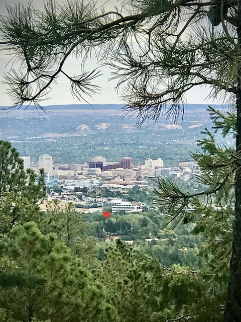 View of complex and neighborhood from nearby drive